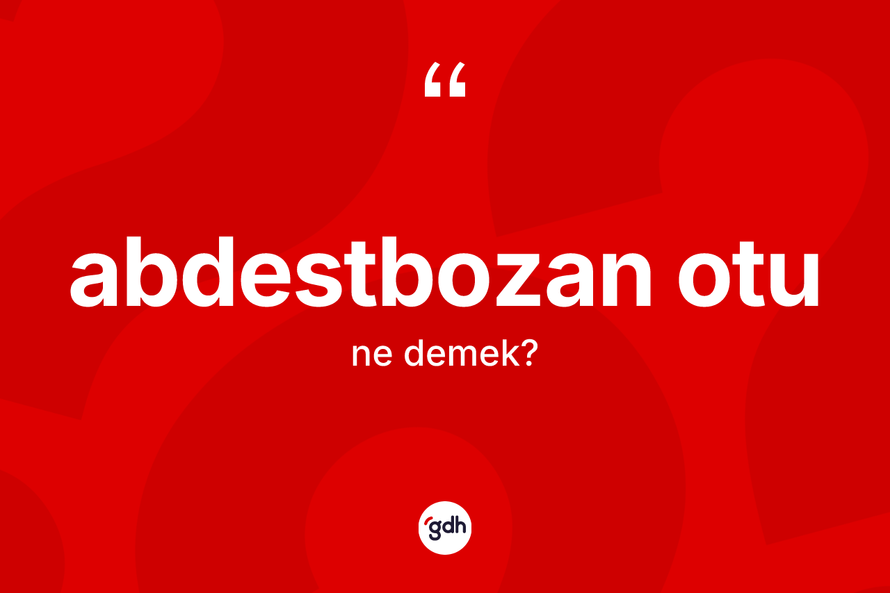 Abdestbozan otu kelimesinin tanımı nedir?