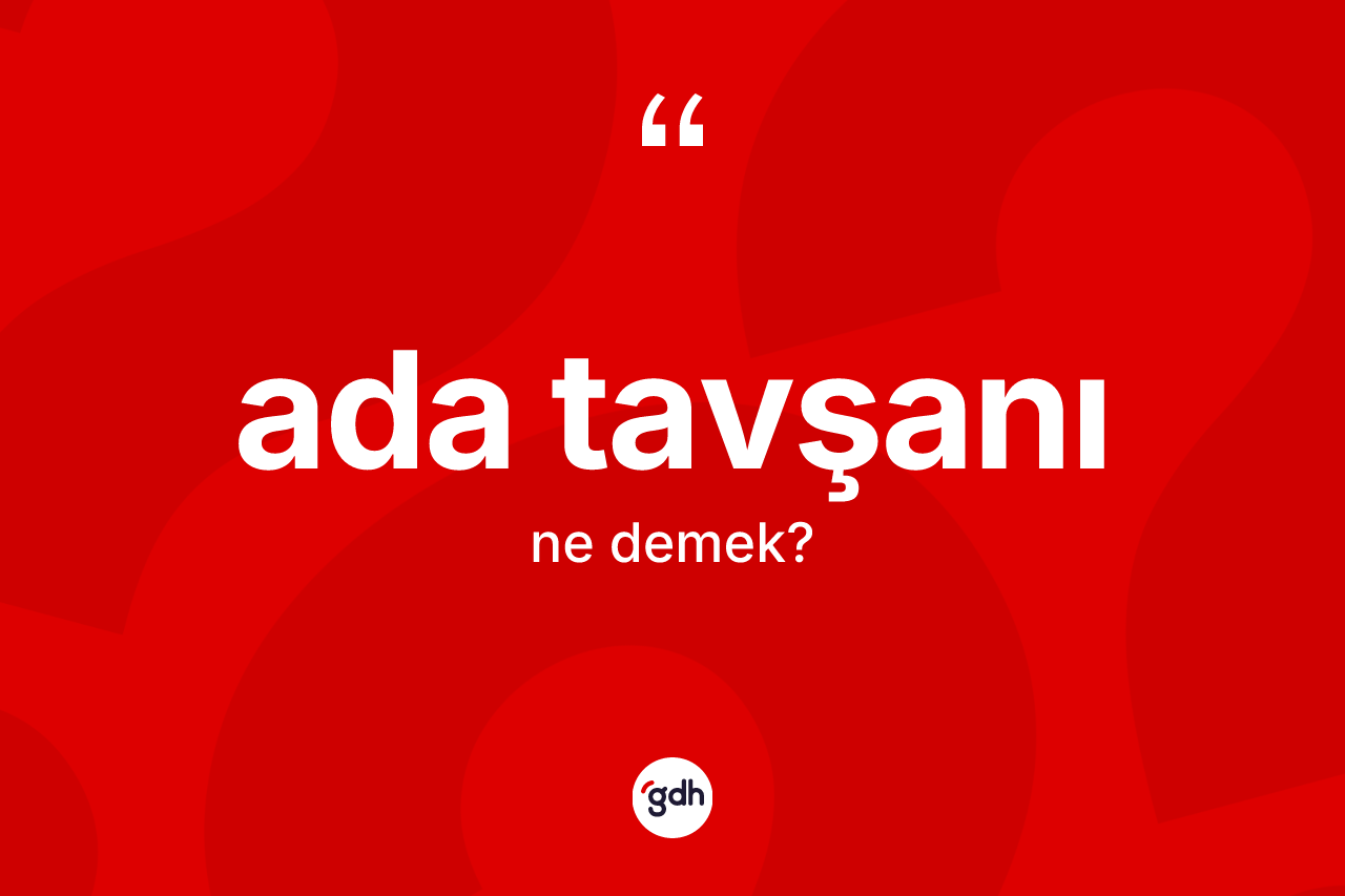 Ada tavşanı nedir?