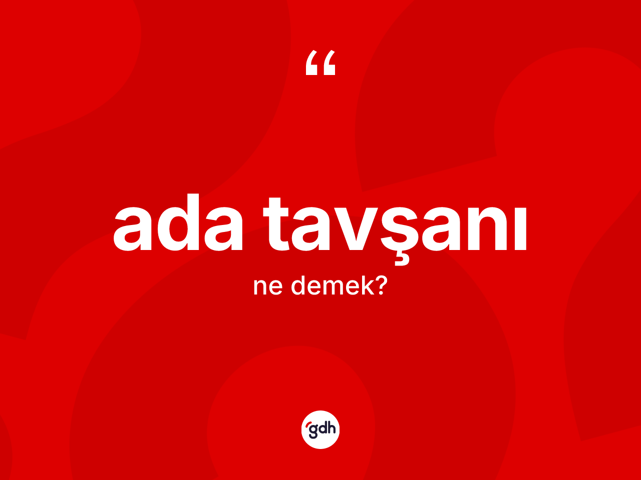 Ada tavşanı nedir? Ada tavşanının kısaca tanımı nedir?