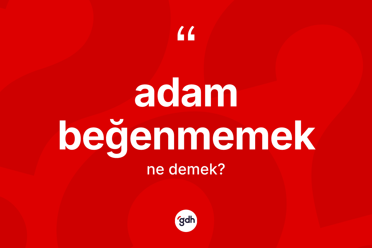 Adam beğenmemek deyimi ne demek? Adam beğenmemek ifadesi nasıl kullanılır?