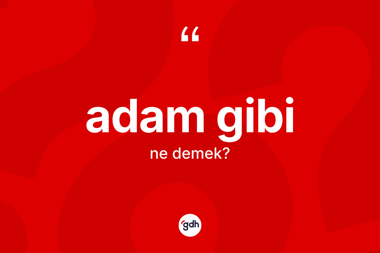 Adam gibi nedir?