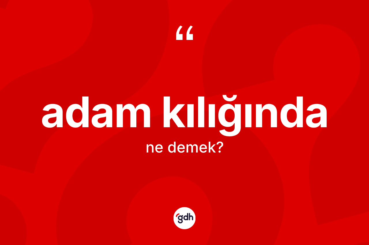 Adam kılığında kelimesinin sözlükteki tanımı nedir? Adam kılığında kelimesinin kaç farklı anlamı var?