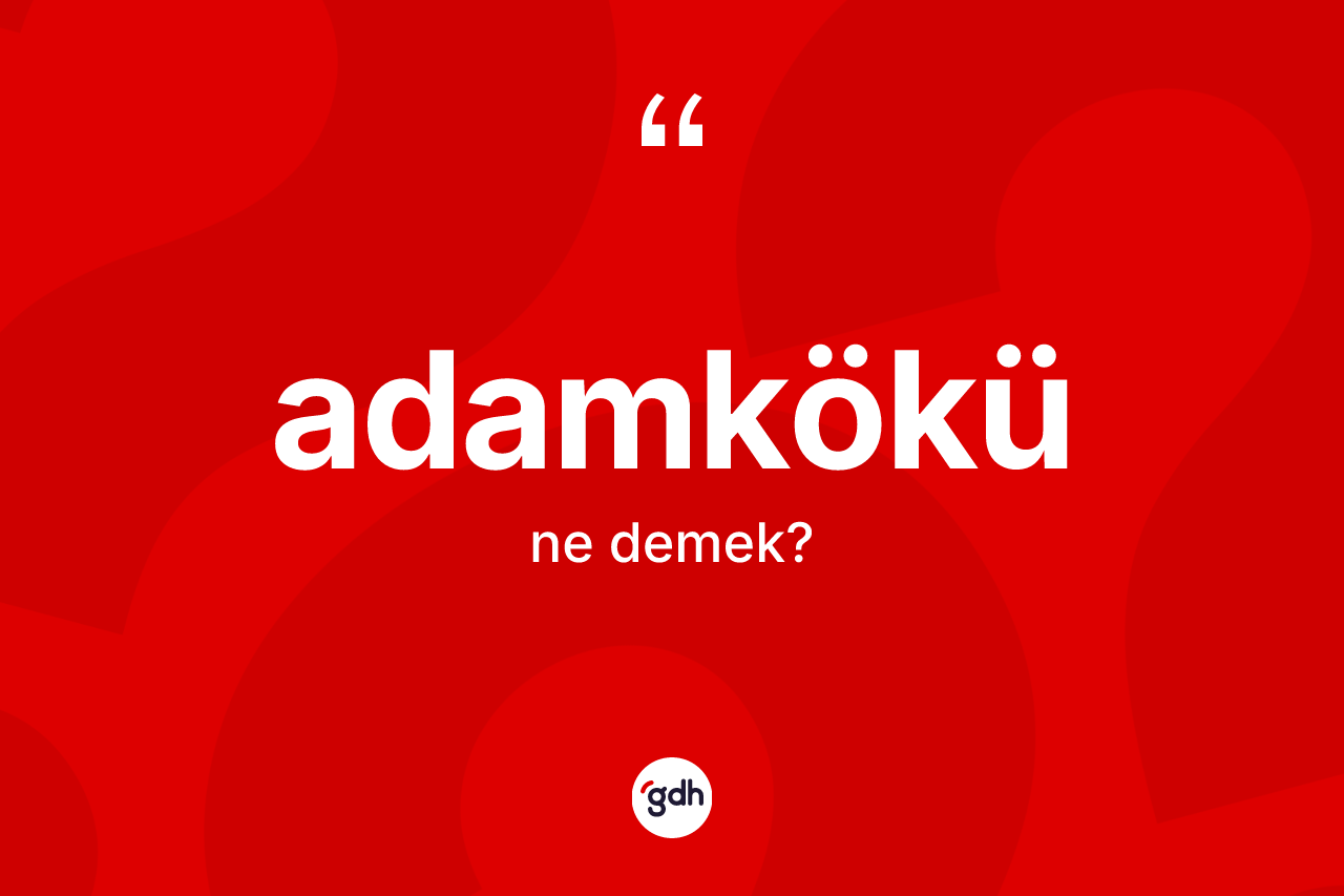 Adamkökü kelimesinin tanımı nedir? Adamkökünün TDK'ya göre anlamı nedir?