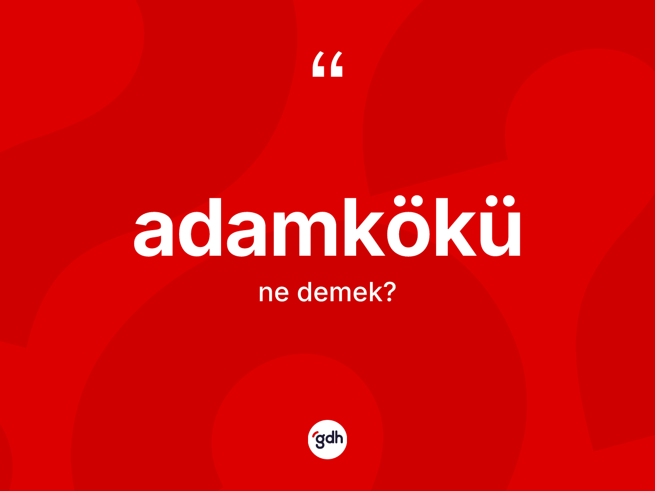 Adamkökü kelimesinin tanımı nedir? Adamkökünün TDK'ya göre anlamı nedir?