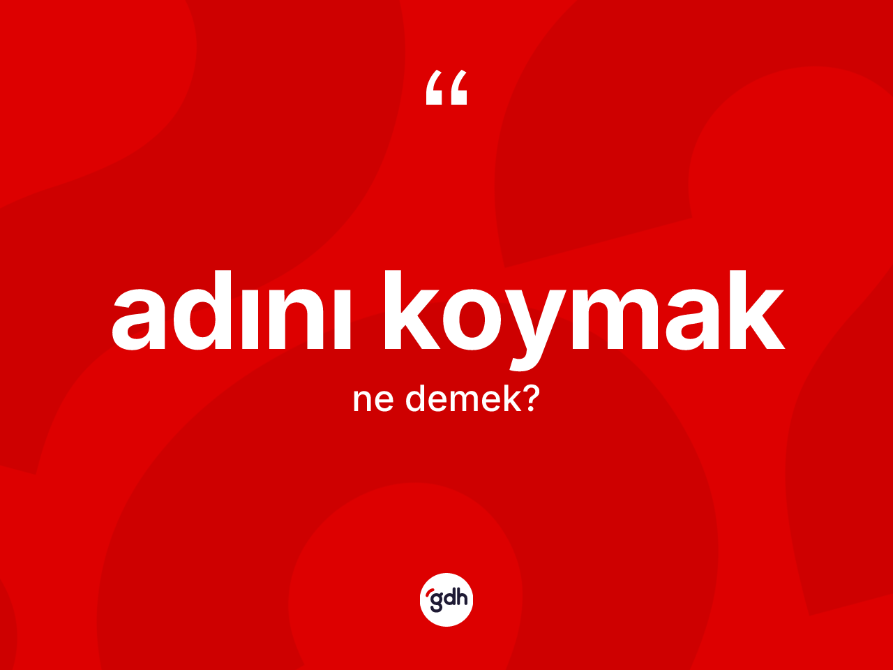 Adını koymak ne anlama gelir? Adını koymak ifadesinin TDK açıklaması nedir?