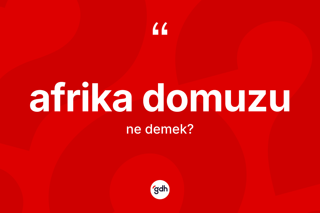 Afrika domuzu kelimesi nedir?