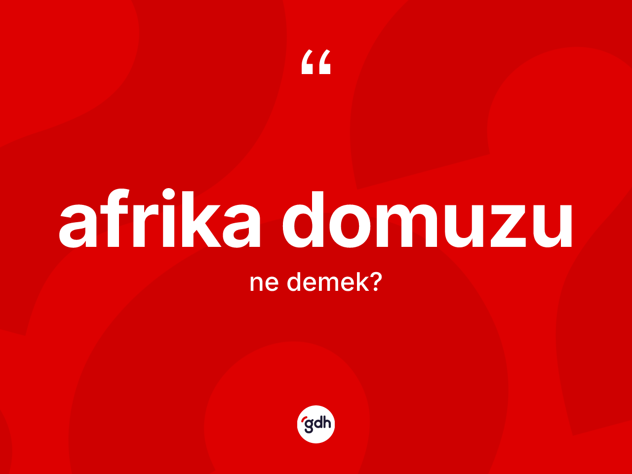 Afrika domuzu kelimesi nedir? Afrika domuzunun kısaca tanımı nedir?