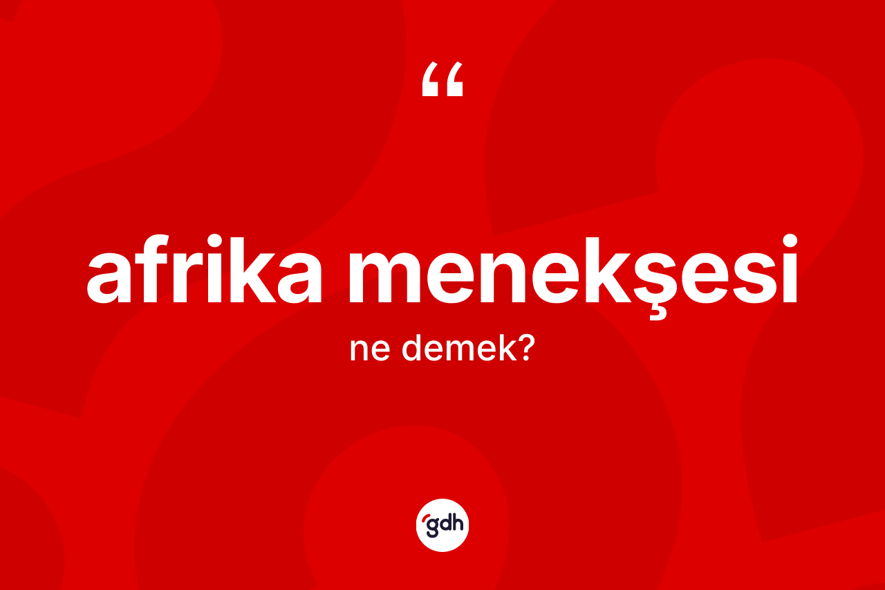 Afrika menekşesi kelimesi ne anlama gelir? Afrika menekşesinin sözlükteki anlamı nedir?