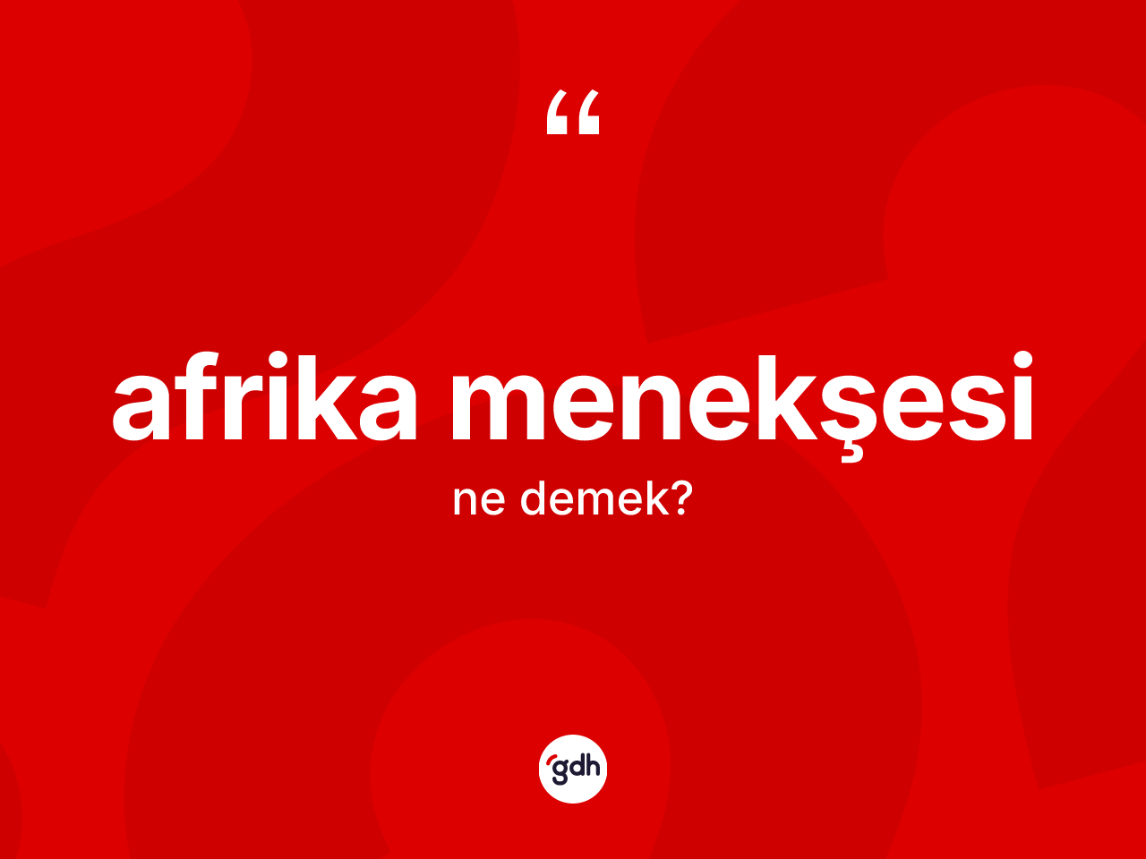Afrika menekşesi kelimesi ne anlama gelir? Afrika menekşesinin sözlükteki anlamı nedir?