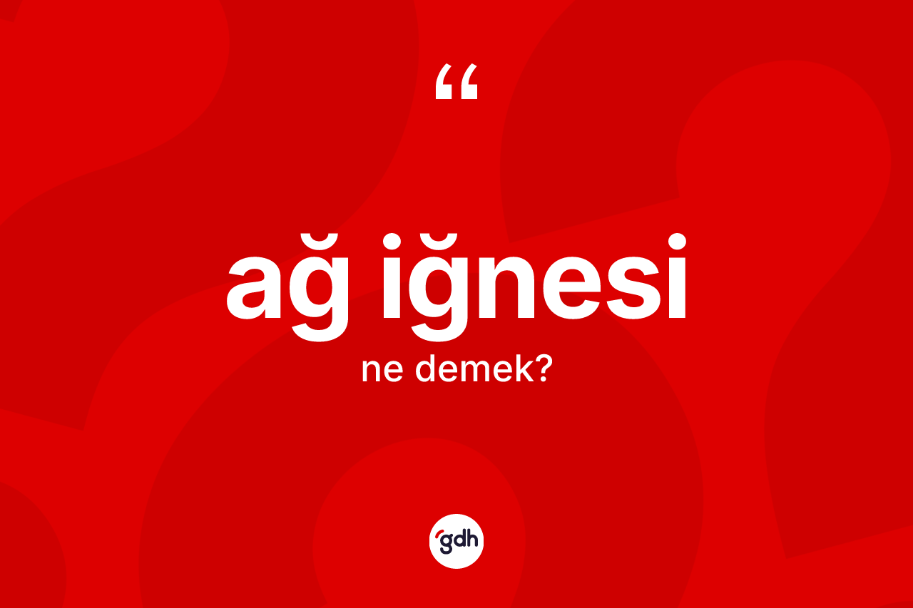 Ağ iğnesi ne demek? Ağ iğnesi kelimesinin TDK'ya göre açıklaması nedir?