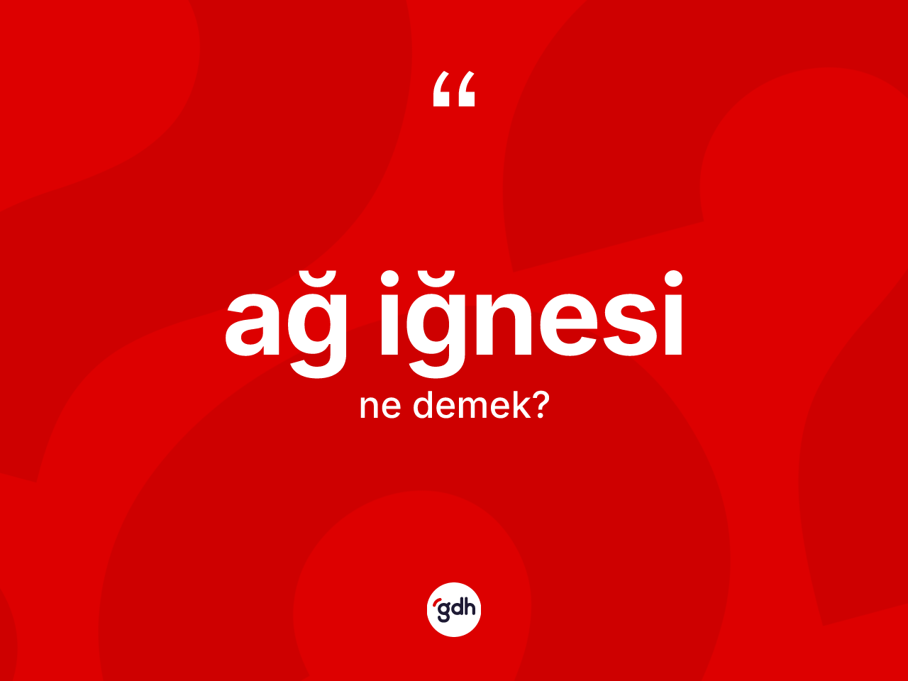 Ağ iğnesi ne demek? Ağ iğnesi kelimesinin TDK'ya göre açıklaması nedir?