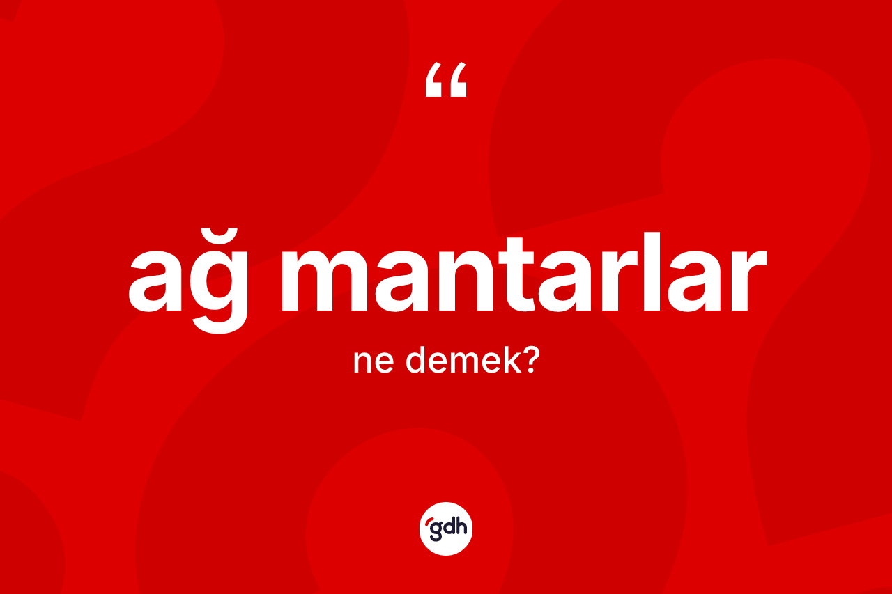 Ağ mantarlar kelimesinin tanımı nedir?