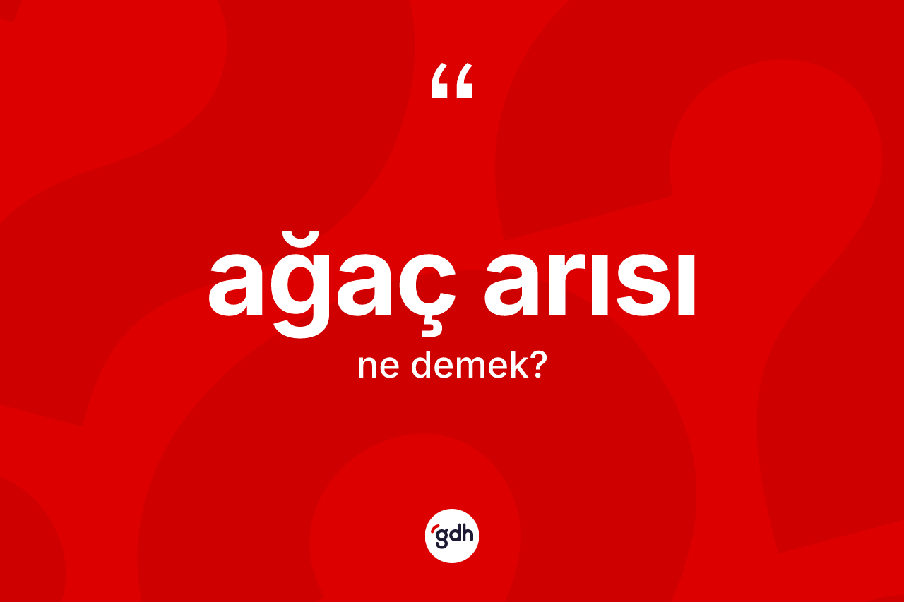 Ağaç arısı kelimesi ne demek?