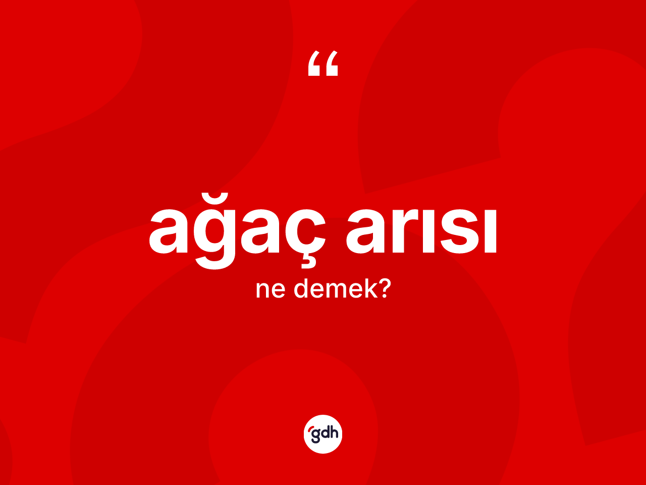 Ağaç arısı kelimesi ne demek? Ağaç arısının sözlükteki anlamı nedir?