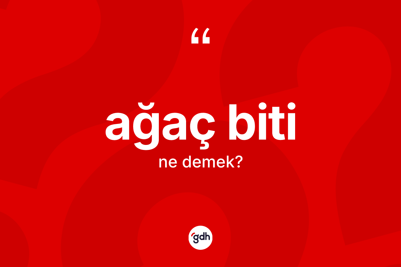 Ağaç biti kelimesinin tanımı nedir?