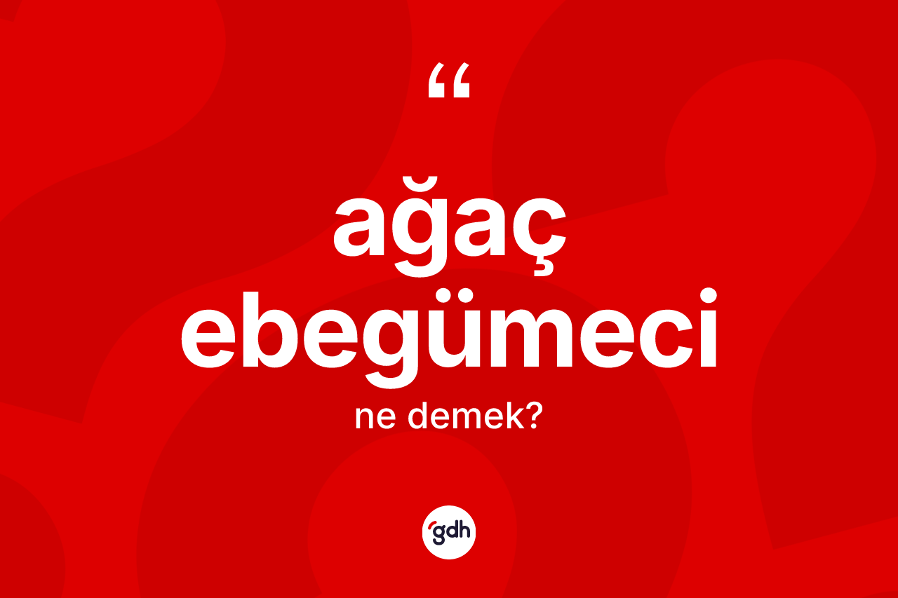 Ağaç ebegümeci kelimesi ne demek? Ağaç ebegümecinin TDK'ya göre anlamı nedir?