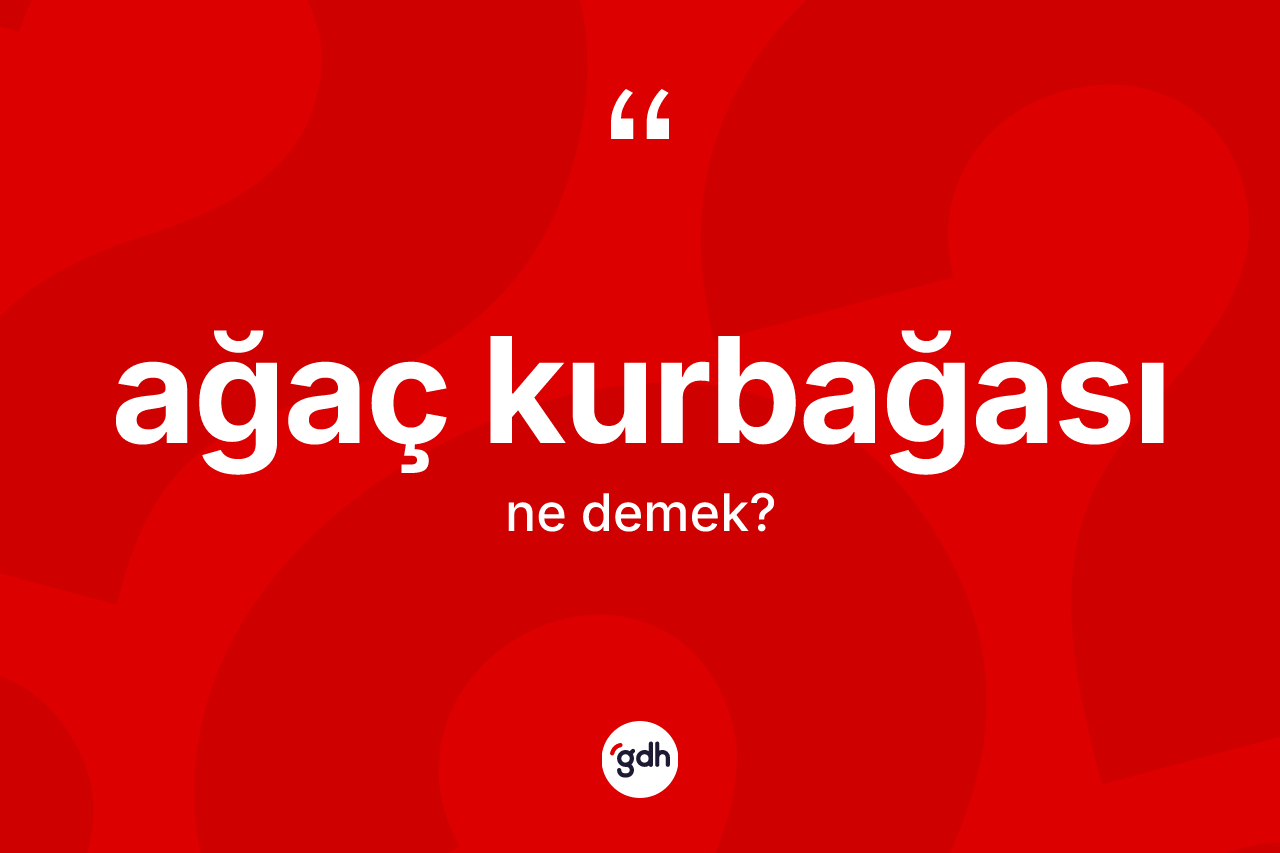 Ağaç kurbağası ne demek? Ağaç kurbağasının sözlükteki anlamı nedir?