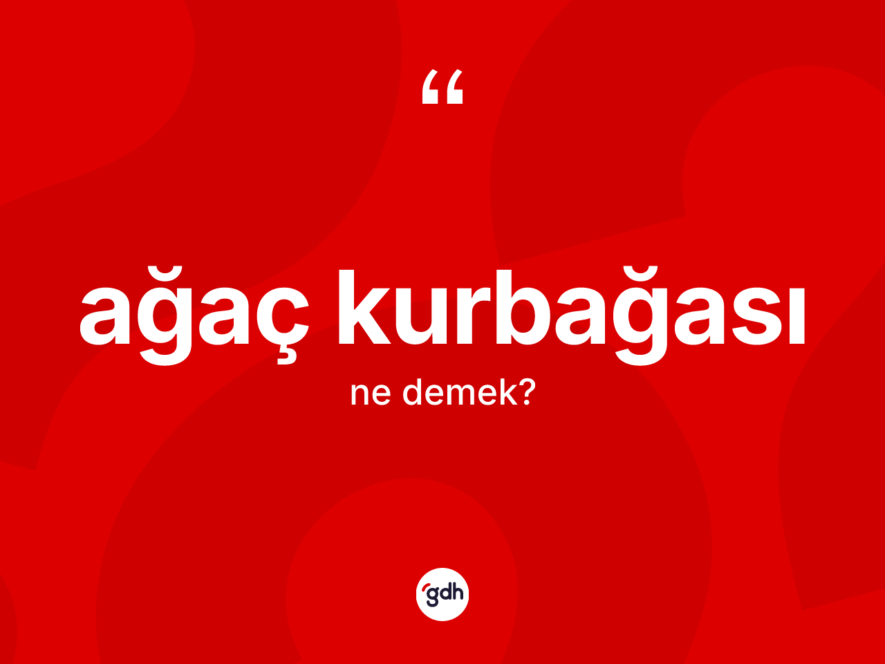 Ağaç kurbağası ne demek? Ağaç kurbağasının sözlükteki anlamı nedir?