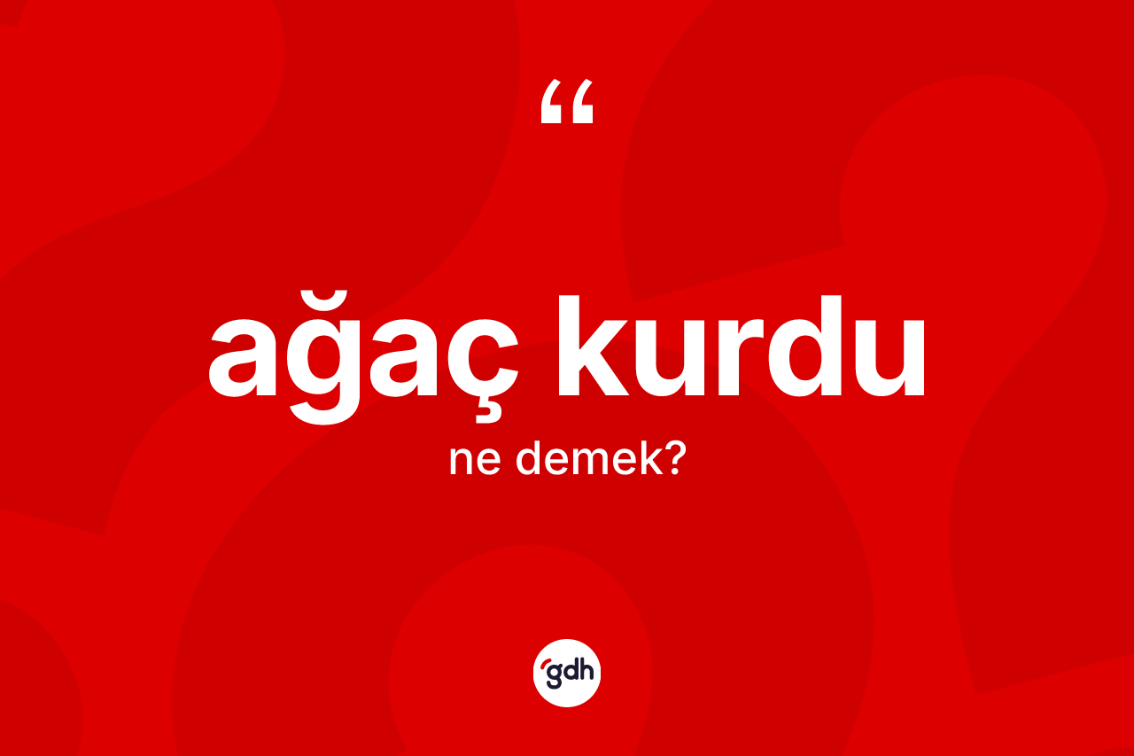 Ağaç kurdu ne demek?