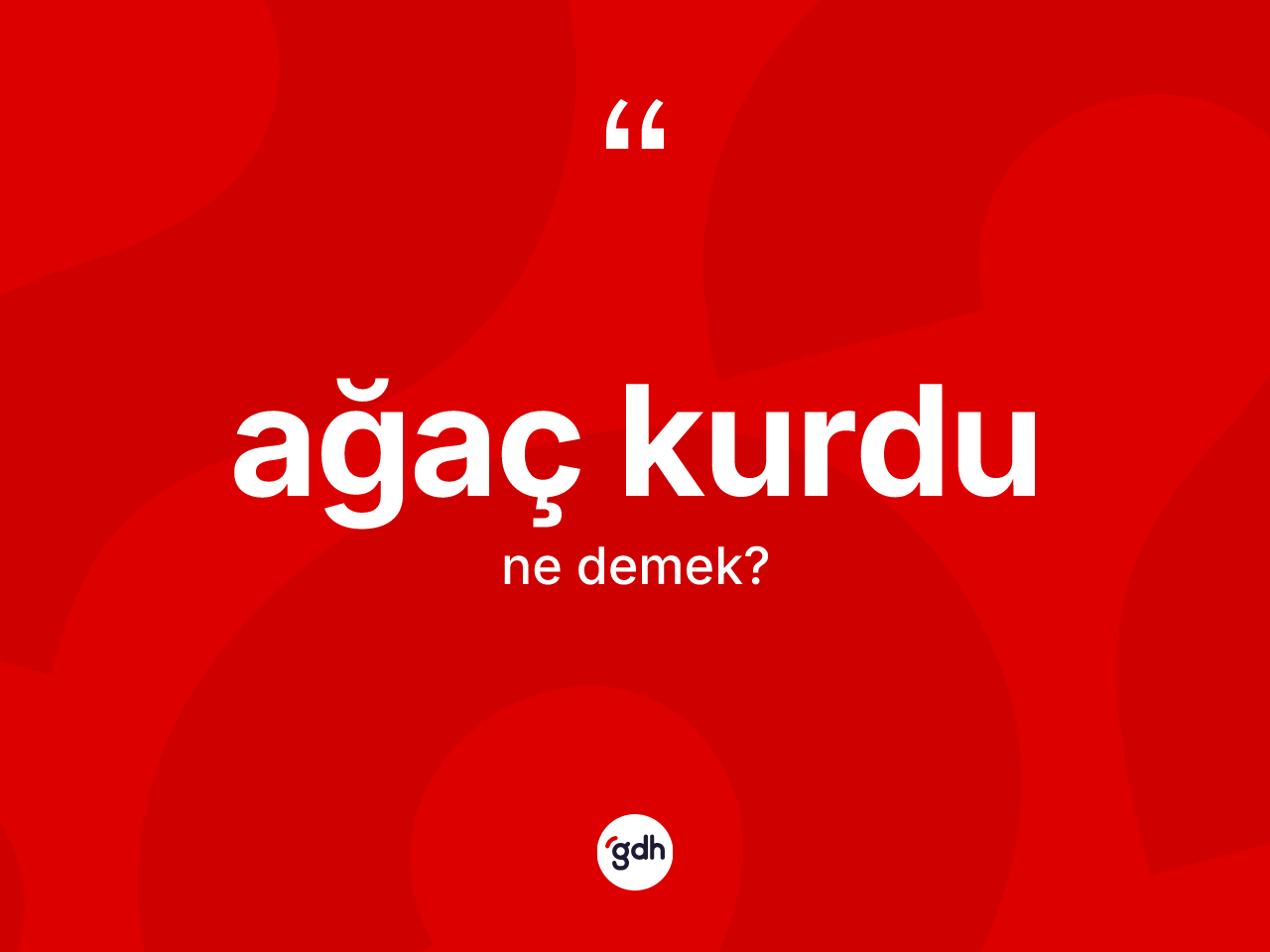 Ağaç kurdu ne demek? Ağaç kurdunun halk arasındaki kullanımı nasıldır?