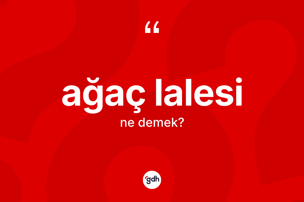 Ağaç lalesi nedir?