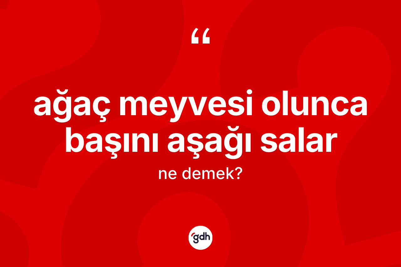 Ağaç meyvesi olunca başını aşağı salar ifadesinin anlamı nedir?