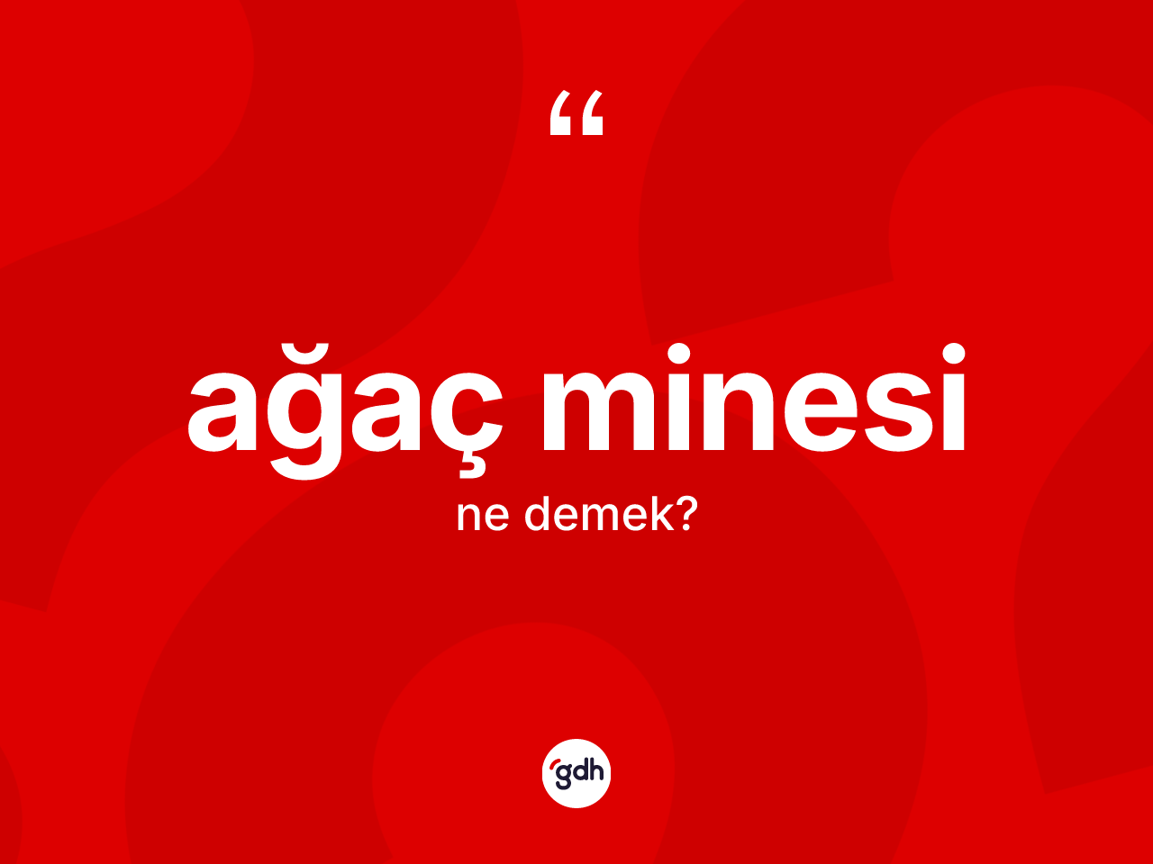 Ağaç minesi kelimesinin anlamı nedir? Ağaç minesinin TDK'ya göre anlamı nedir?