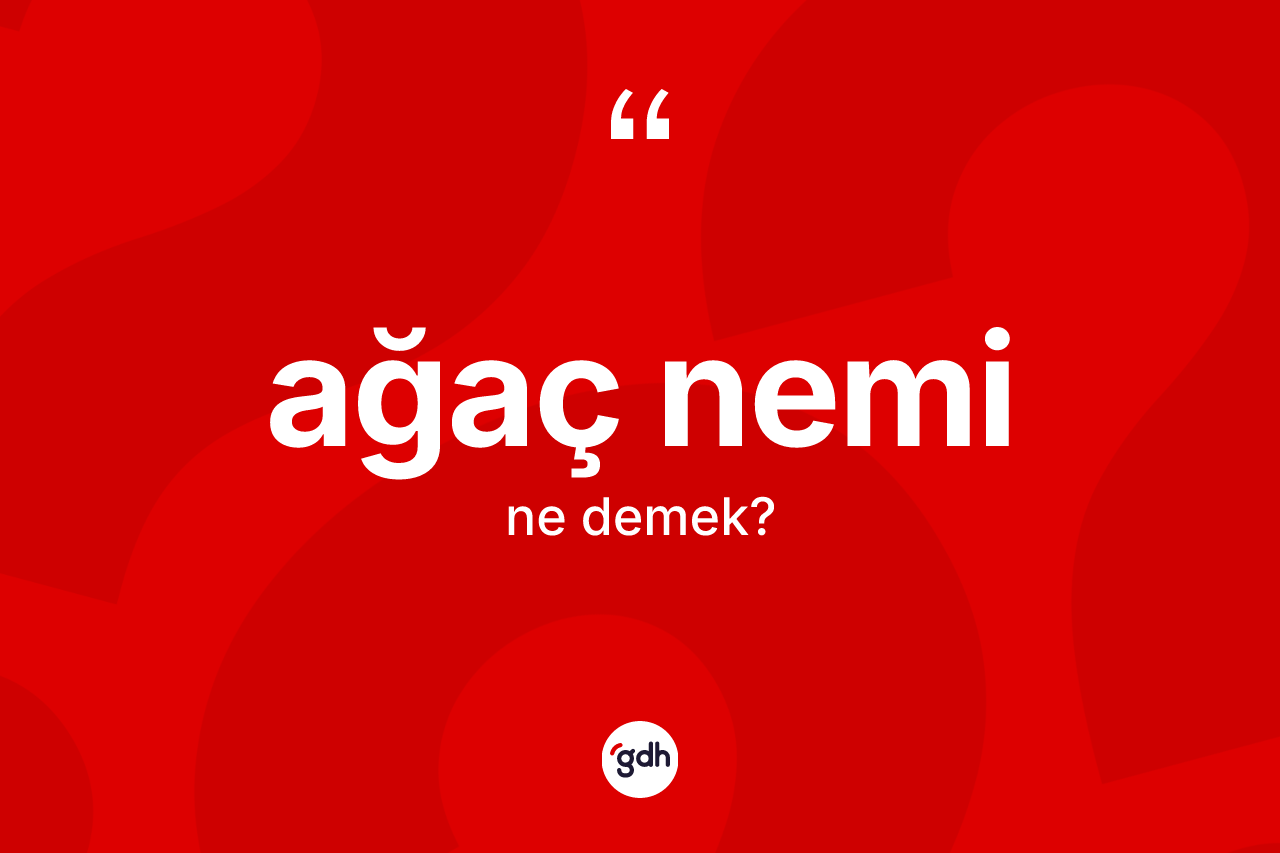 Ağaç nemi nedir? Ağaç neminin TDK'ya göre anlamı nedir?