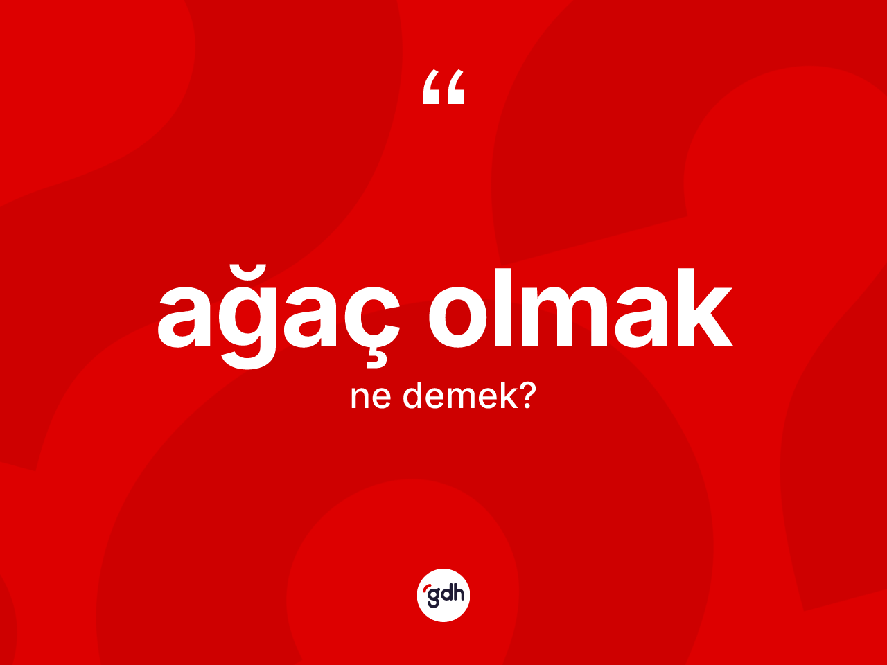 Ağaç olmak sözü neyi anlatır? Ağaç olmak ifadesi hangi durumlarda kullanılır
