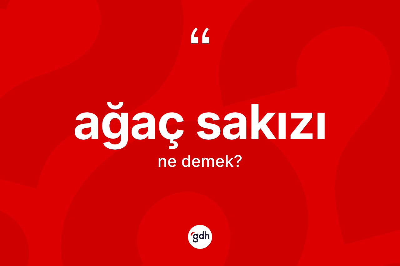 Ağaç sakızı kelimesinin tanımı nedir?
