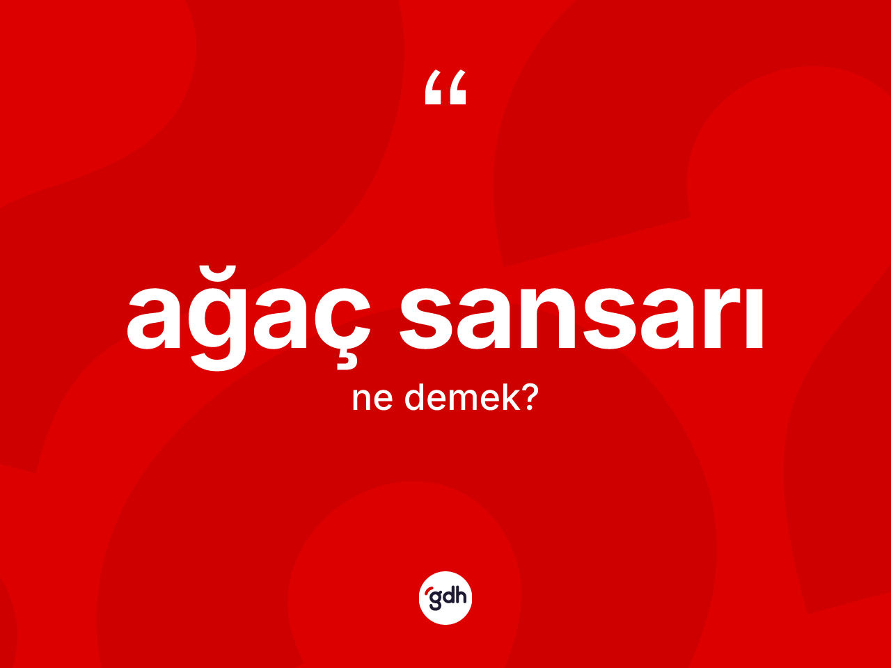 Ağaç sansarı ne demek? Ağaç sansarının halk arasındaki kullanımı nasıldır?