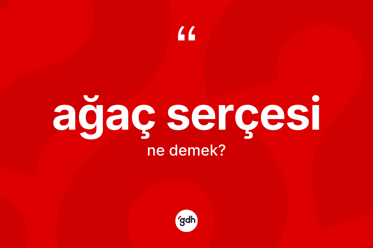 Ağaç serçesi kelimesi ne demek?