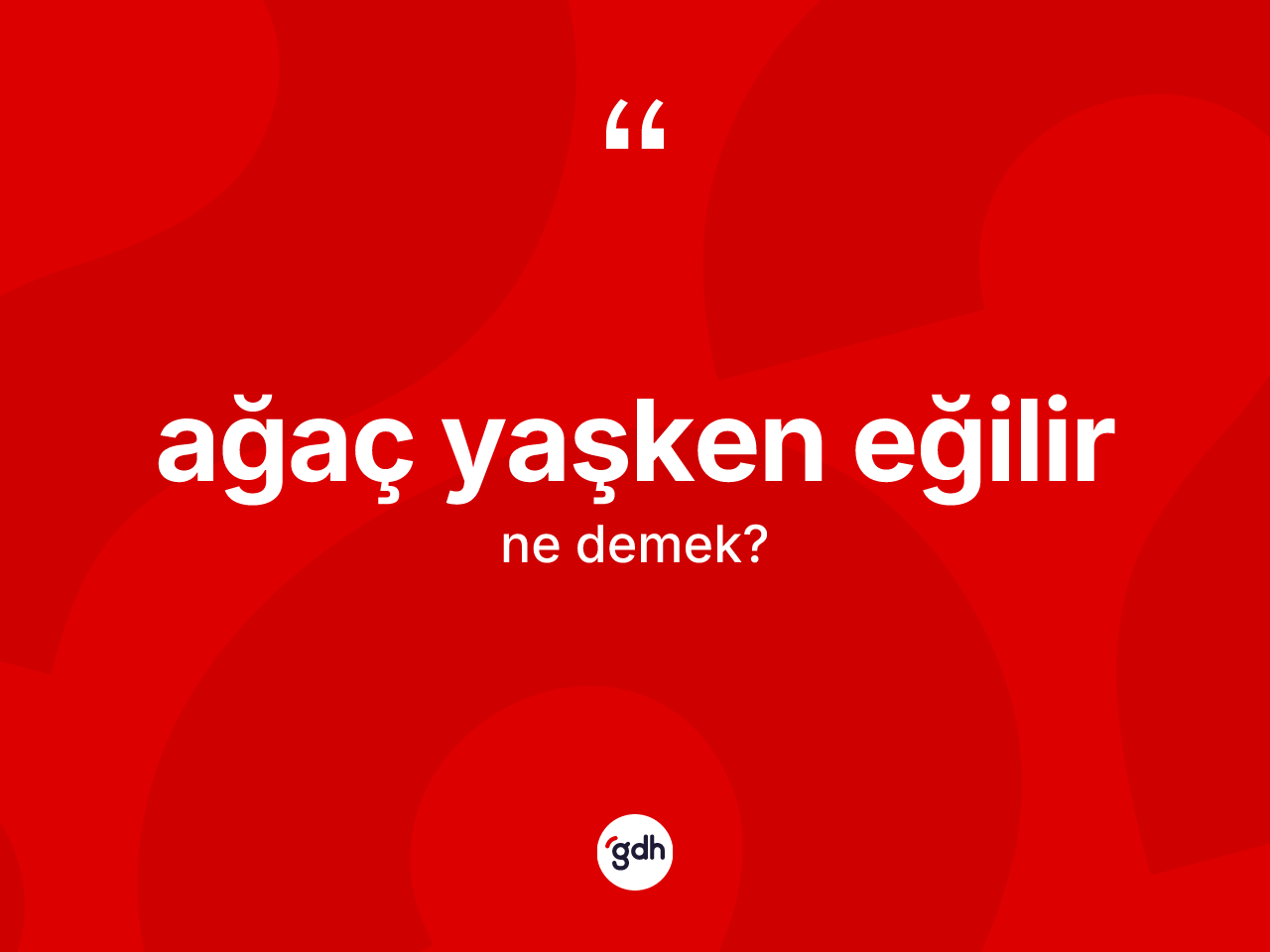 Ağaç yaşken eğilir ifadesinin tanımı nedir? Ağaç yaşken eğilir sözü nerede kullanılır?