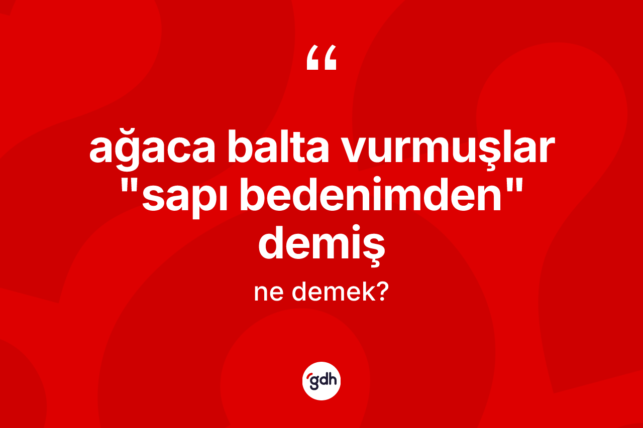 Ağaca balta vurmuşlar "sapı bedenimden" demiş deyimi ne demek?