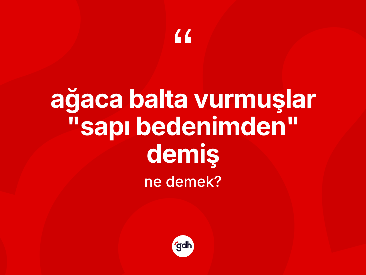 Ağaca balta vurmuşlar "sapı bedenimden" demiş deyimi ne demek? Ağaca balta vurmuşlar "sapı bedenimden" demiş ifadesi nerede kullanılır?