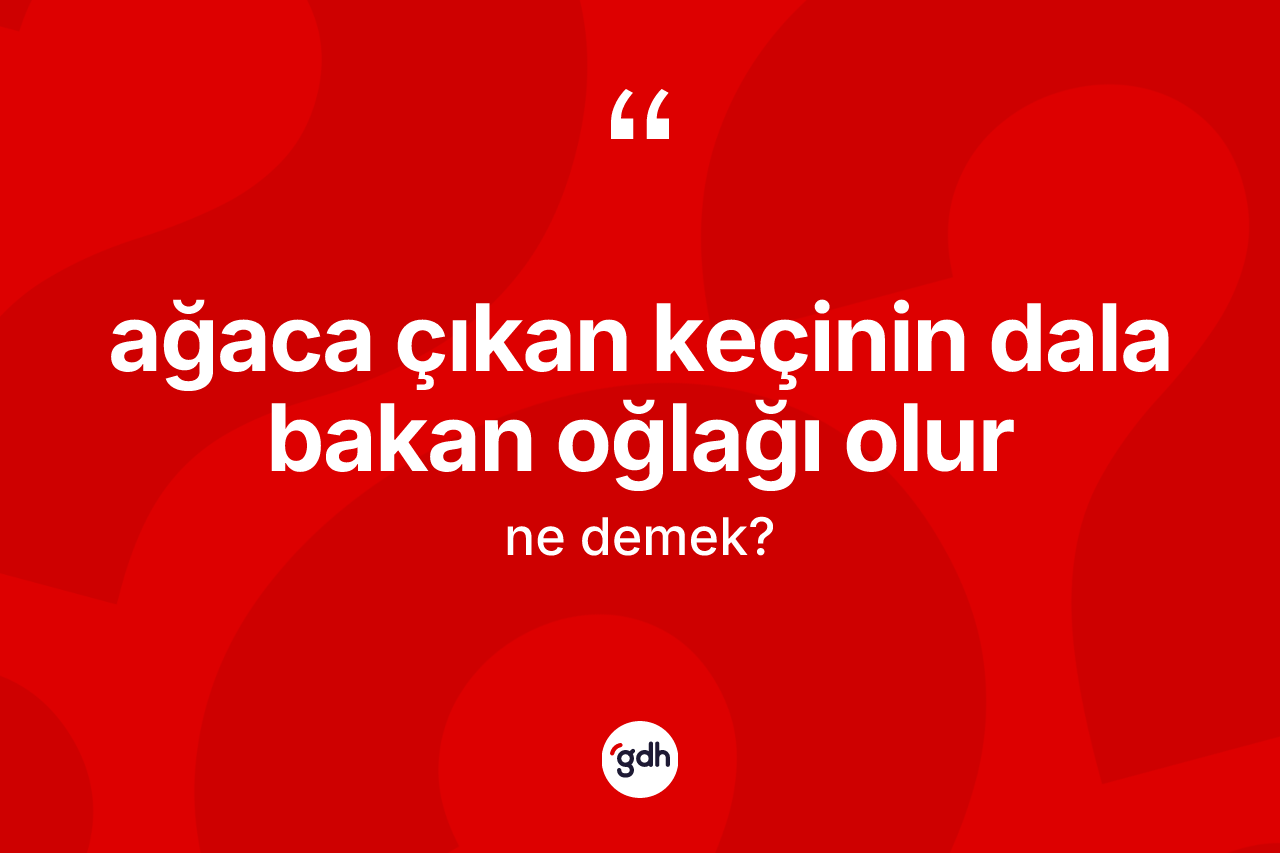 Ağaca çıkan keçinin dala bakan oğlağı olur ifadesinin sözlükteki anlamı nedir?