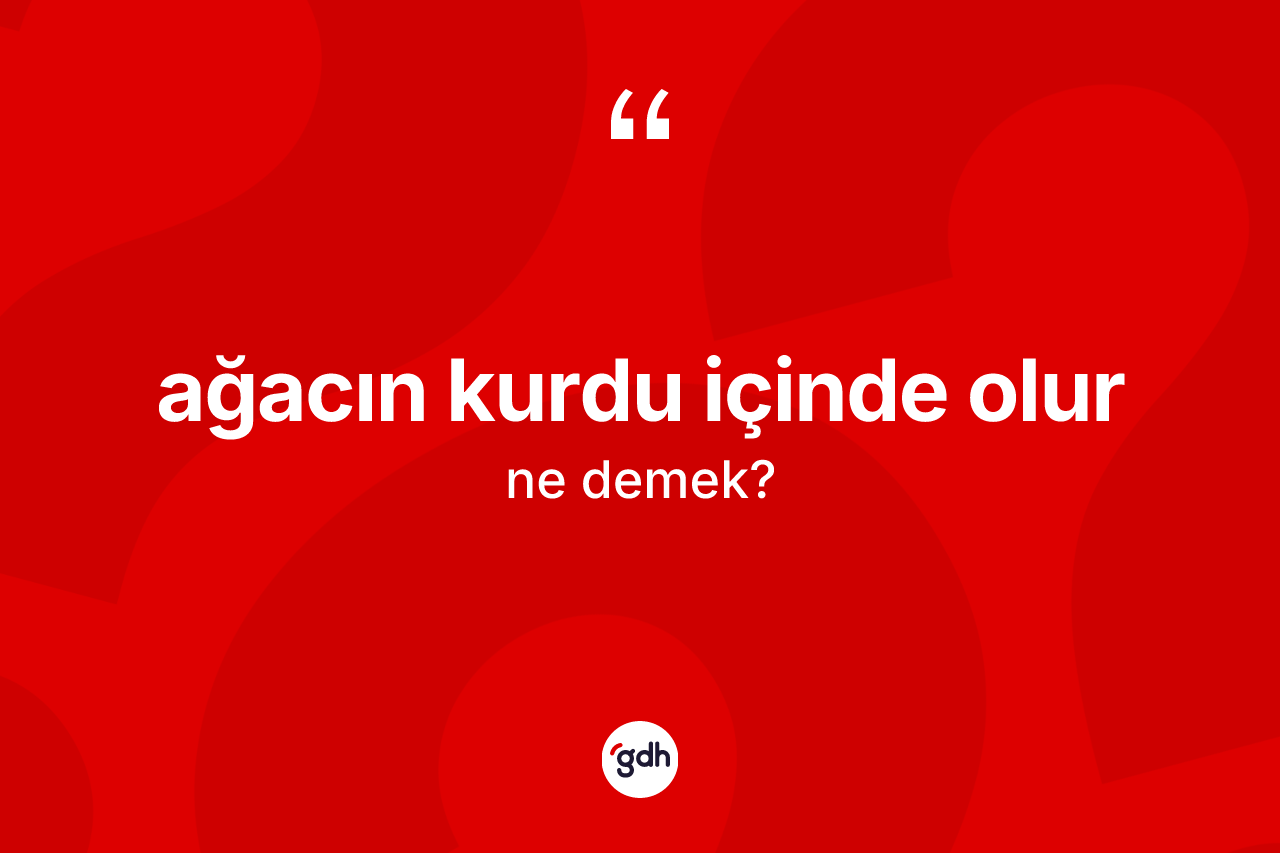 Ağacın kurdu içinde olur nedir?