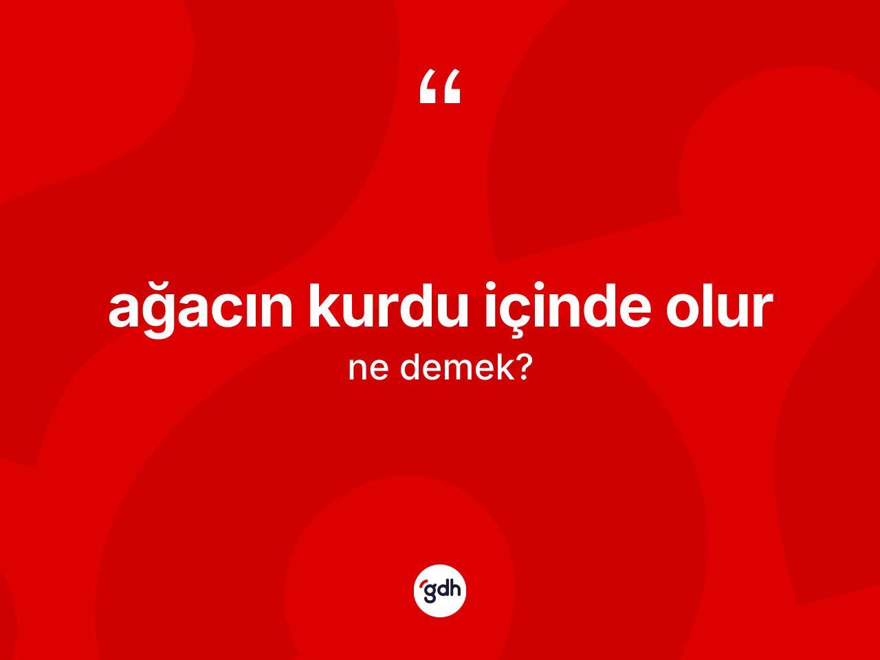 Ağacın kurdu içinde olur nedir? Ağacın kurdu içinde olur ifadesinin TDK anlamı nedir?