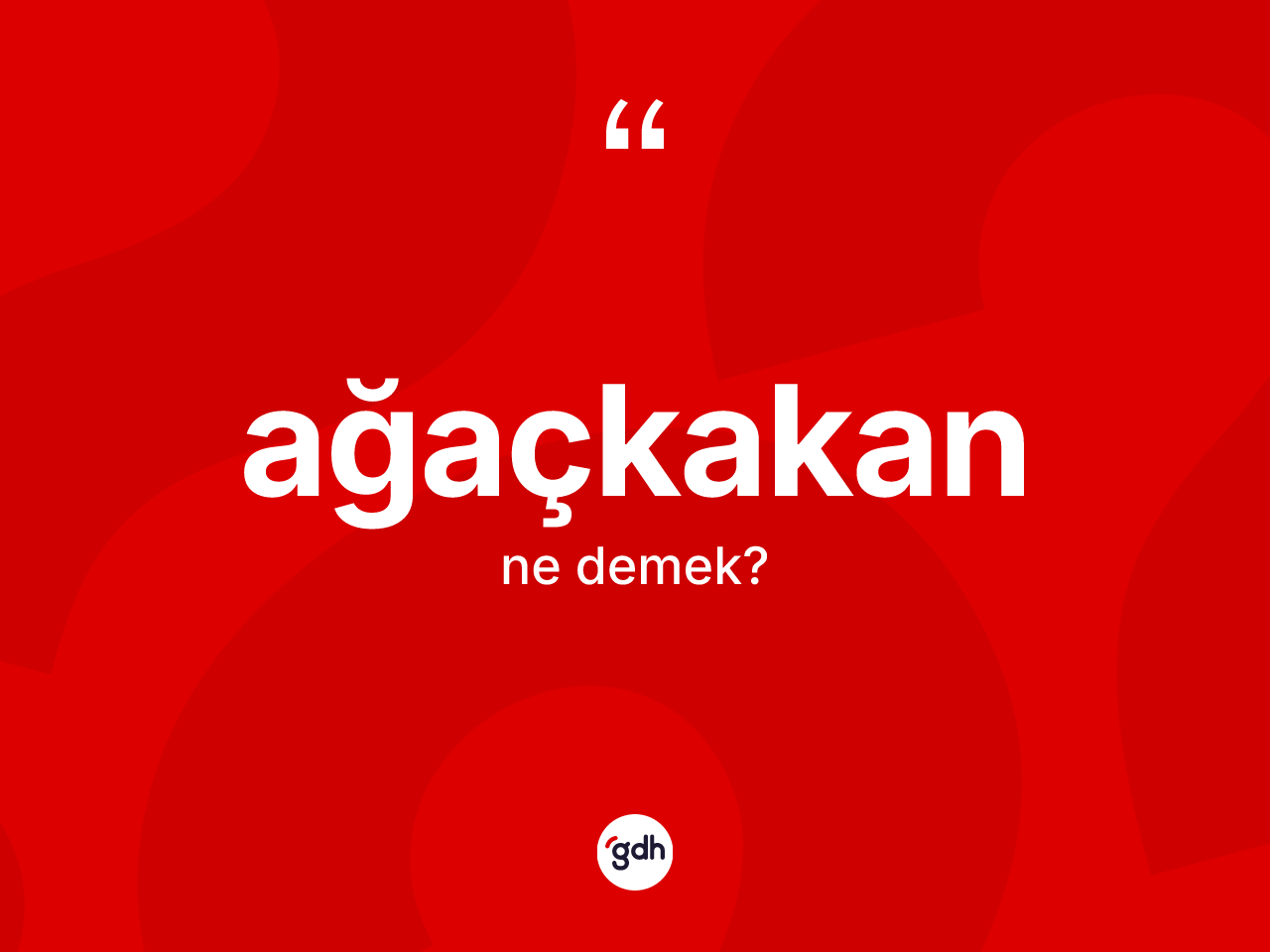 Ağaçkakan kelimesinin tanımı nedir? Ağaçkakan kelimesinin TDK anlamı nedir?