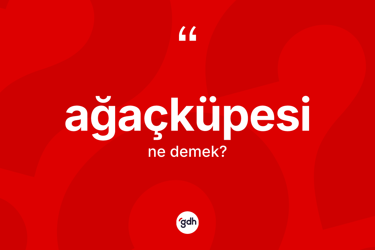 Ağaçküpesi ne demek? Ağaçküpesi kelimesinin TDK'ya göre açıklaması nedir?