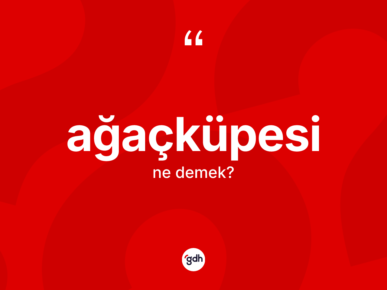 Ağaçküpesi ne demek? Ağaçküpesi kelimesinin TDK'ya göre açıklaması nedir?