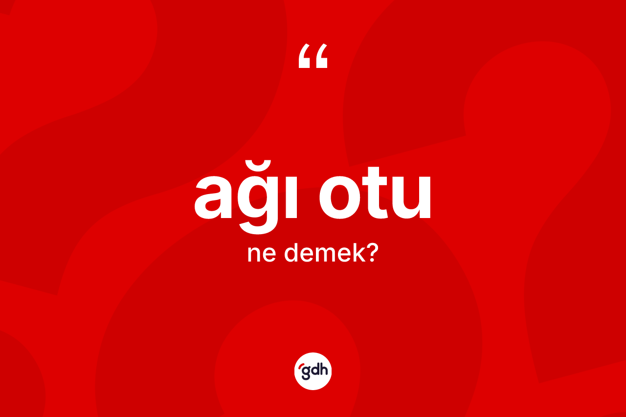 Ağı otu kelimesinin sözlükteki tanımı nedir? Ağı otunun kısaca tanımı nedir?