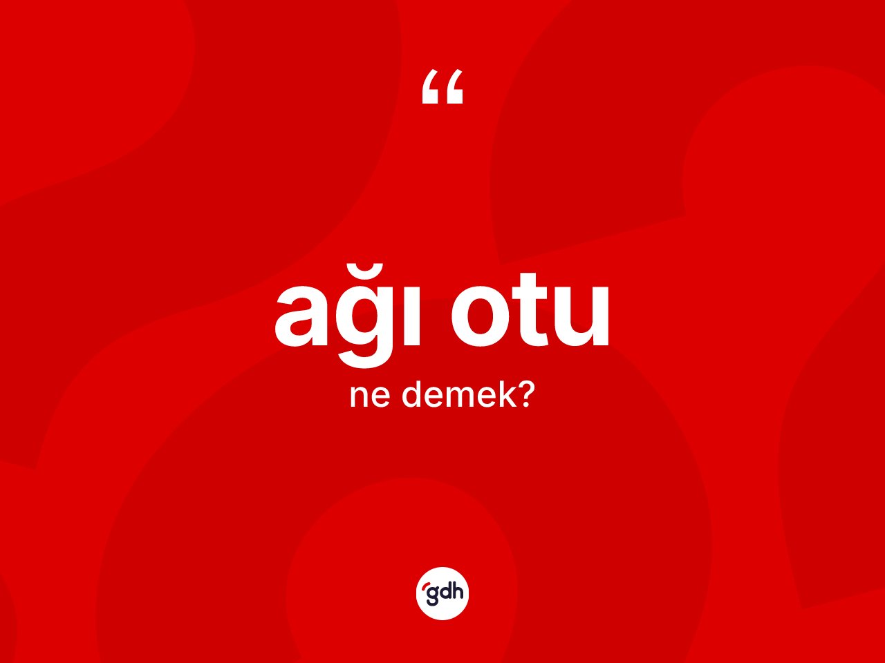 Ağı otu kelimesinin sözlükteki tanımı nedir? Ağı otunun kısaca tanımı nedir?