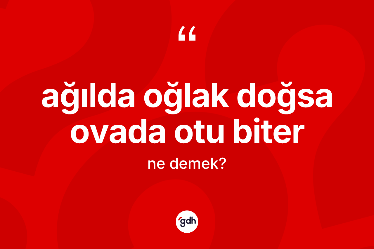 Ağılda oğlak doğsa ovada otu biter ifadesinin sözlükteki anlamı nedir? Ağılda oğlak doğsa ovada otu biter ifadesinin TDK'ya göre anlamı nedir?