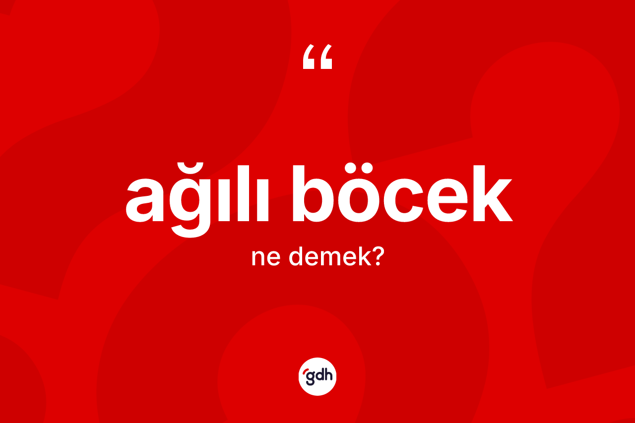 Ağılı böcek kelimesi nedir?