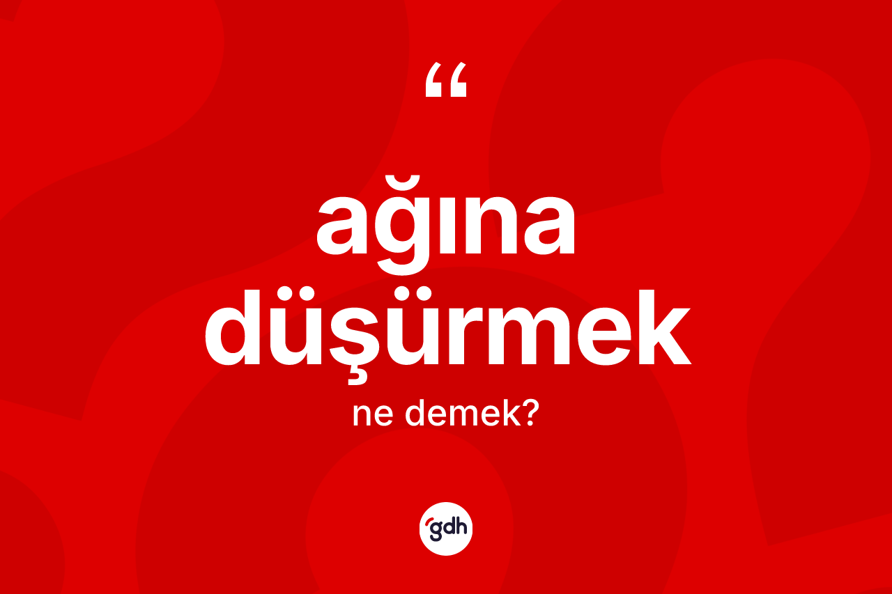 Ağına düşürmek ifadesinin tanımı nedir?