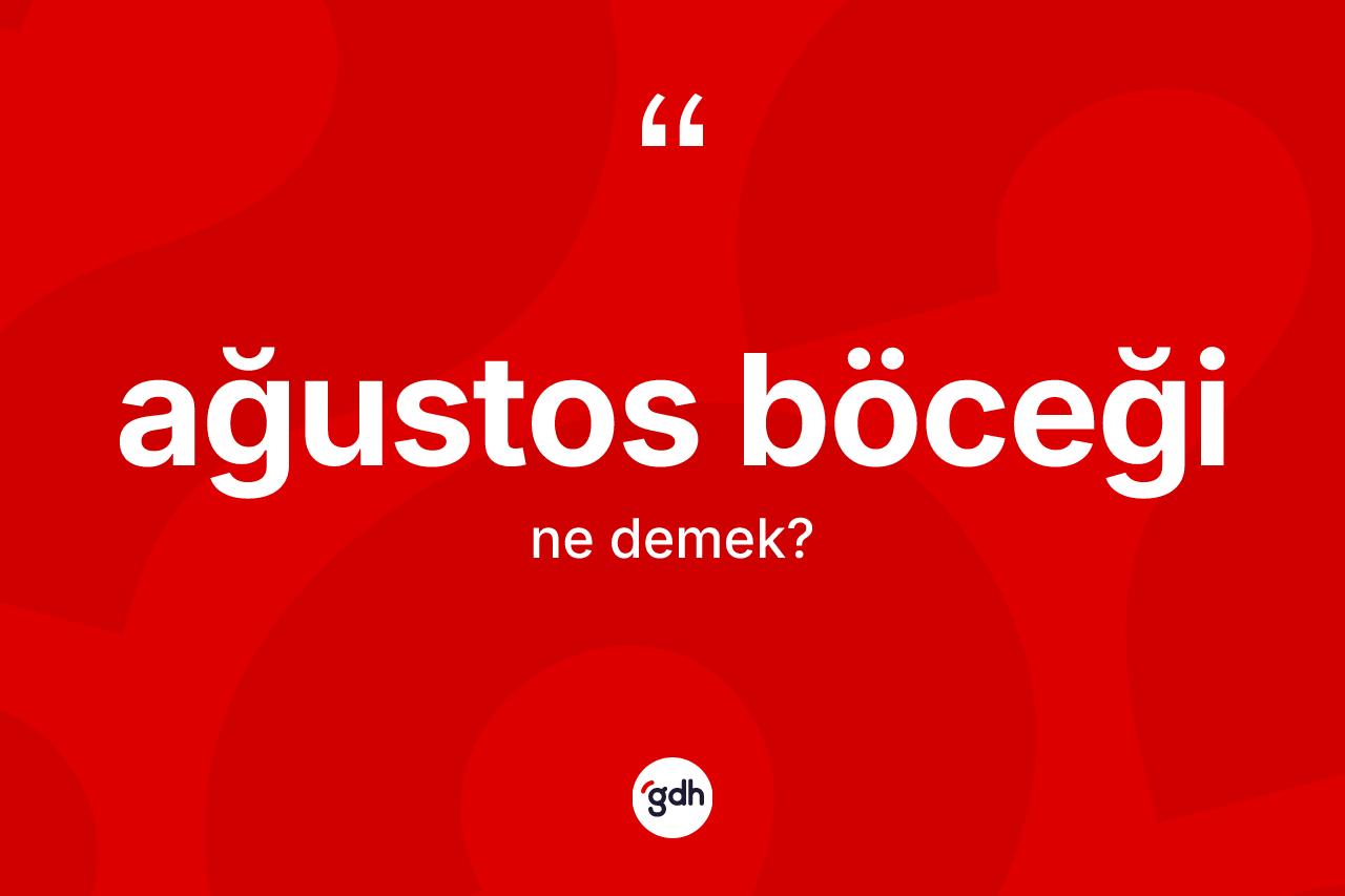 Ağustos böceği kelimesinin tanımı nedir?