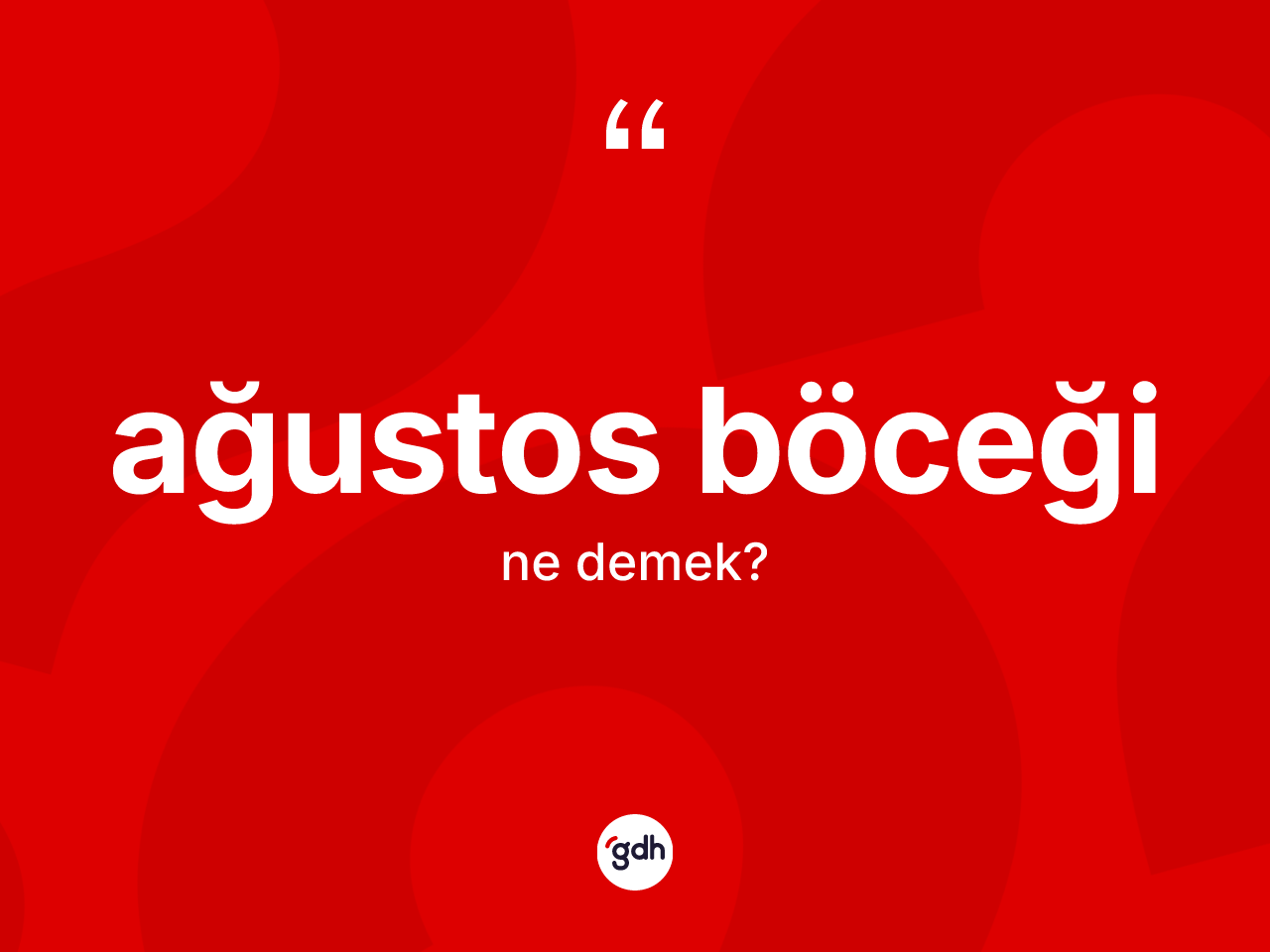 Ağustos böceği kelimesinin tanımı nedir? Ağustos böceğinin kısaca tanımı nedir?