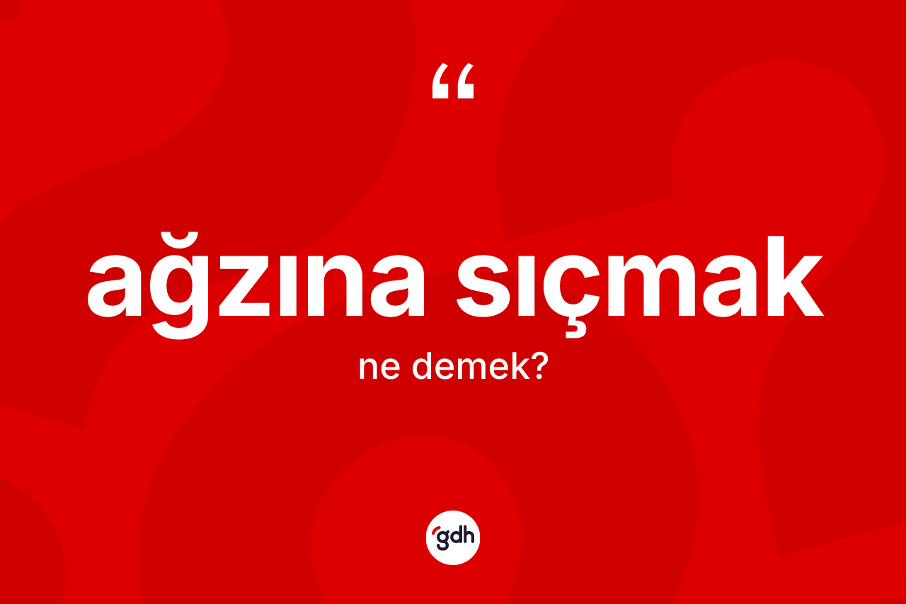 Ağzına sıçmak ifadesi ne demektir? Ağzına sıçmak ifadesinin TDK anlamı nedir?