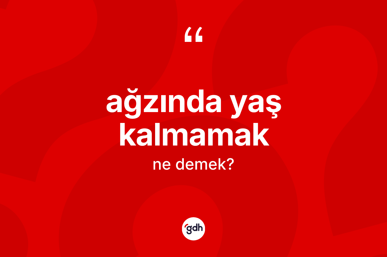 Ağzında yaş kalmamak ifadesinin kısaca anlamı nedir?